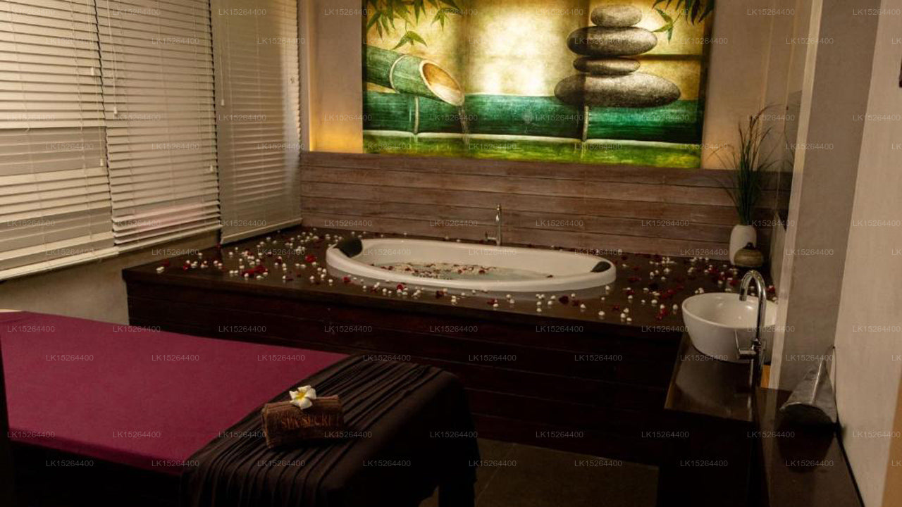 Teras Green Otel ve Spa, Negombo