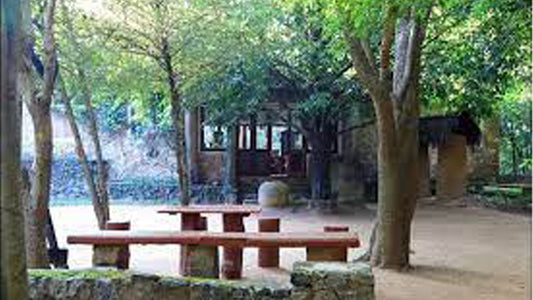 Popham's Botanik Bahçesi, Dambulla