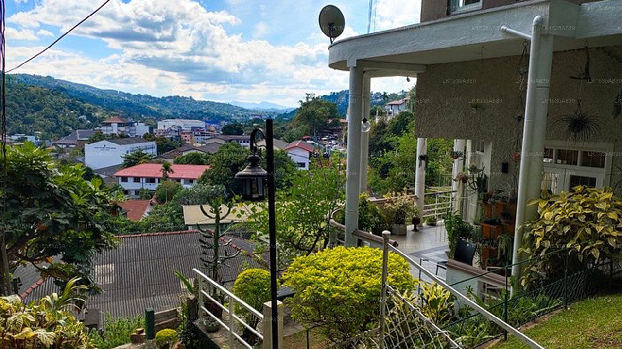 Marvel Hills Kandy