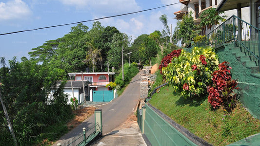 Yes Paradise, Kandy