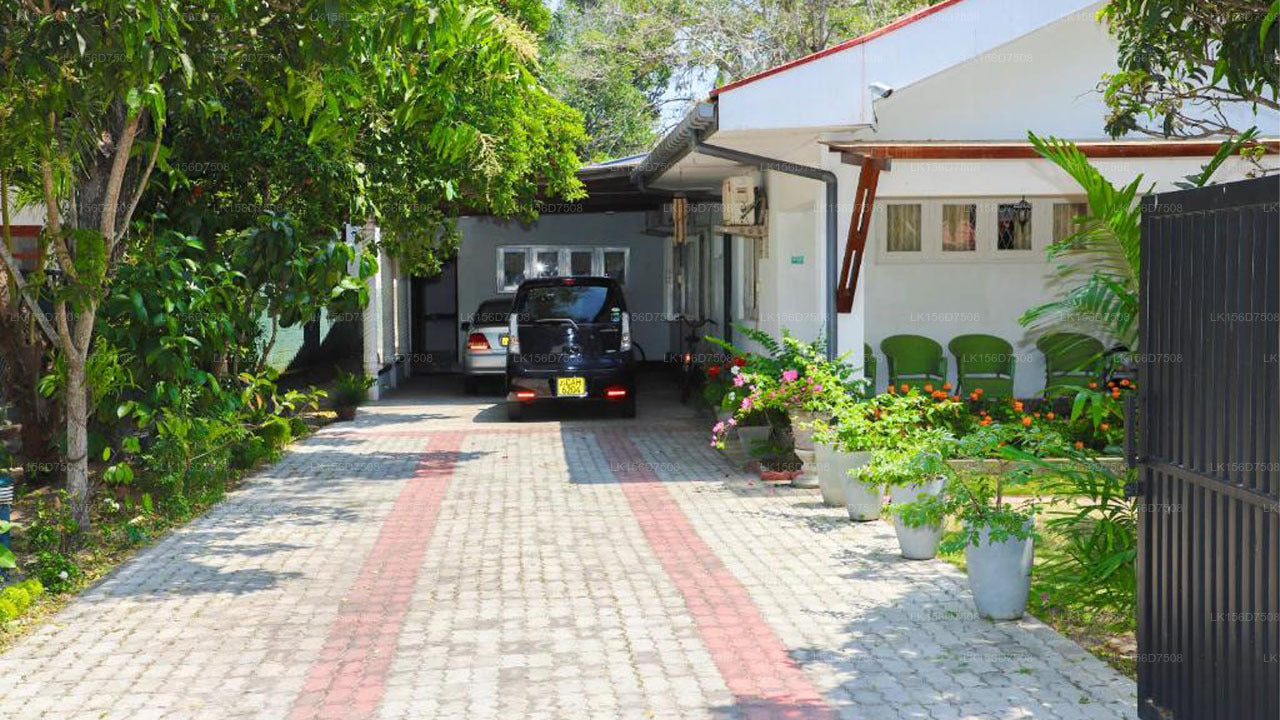 Katunayake Pansiyon, Katunayake