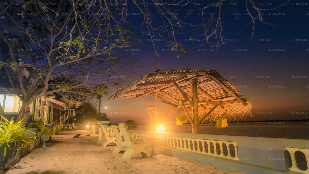 Koddu, Kalpitiya
