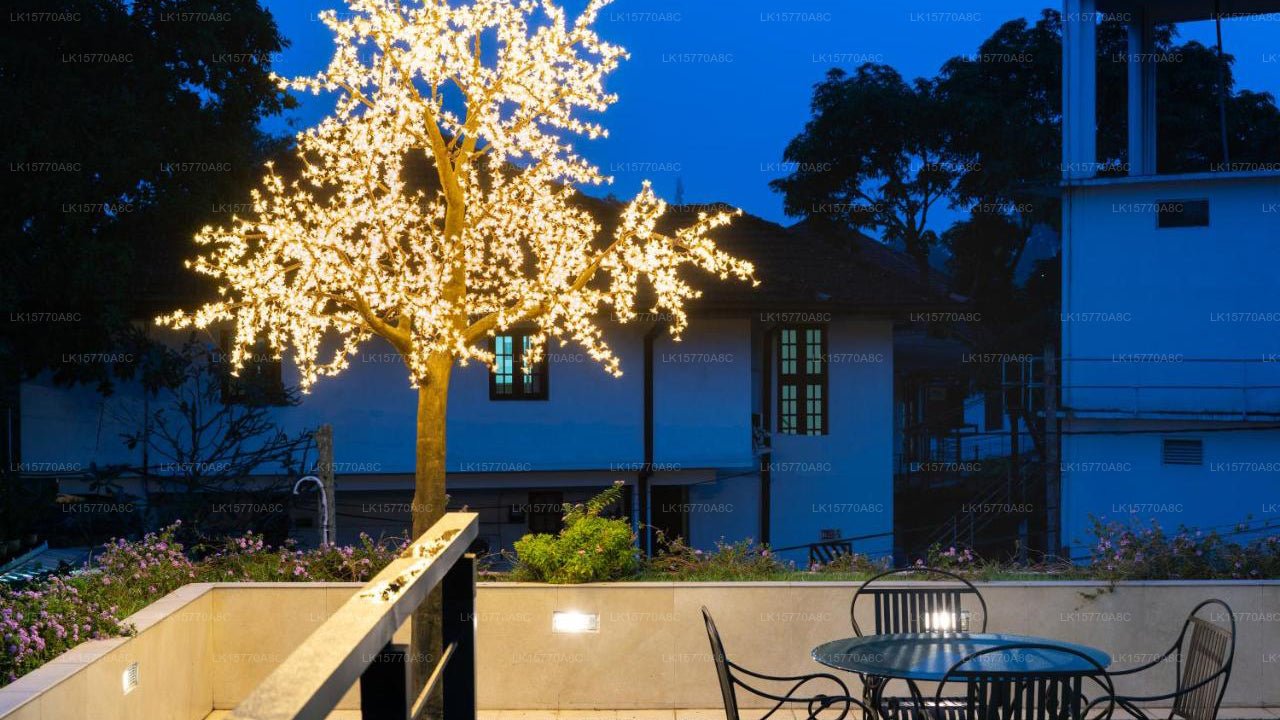 Clove Villa, Kandy