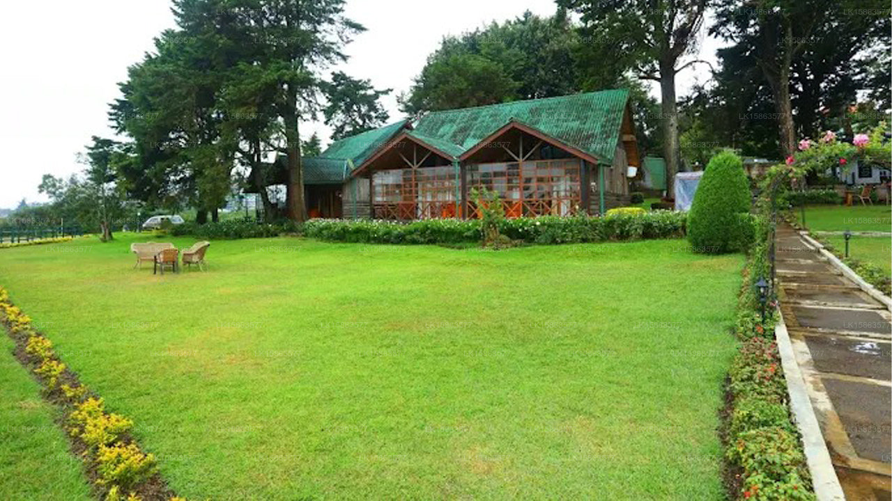 Cube, Nuwara Eliya