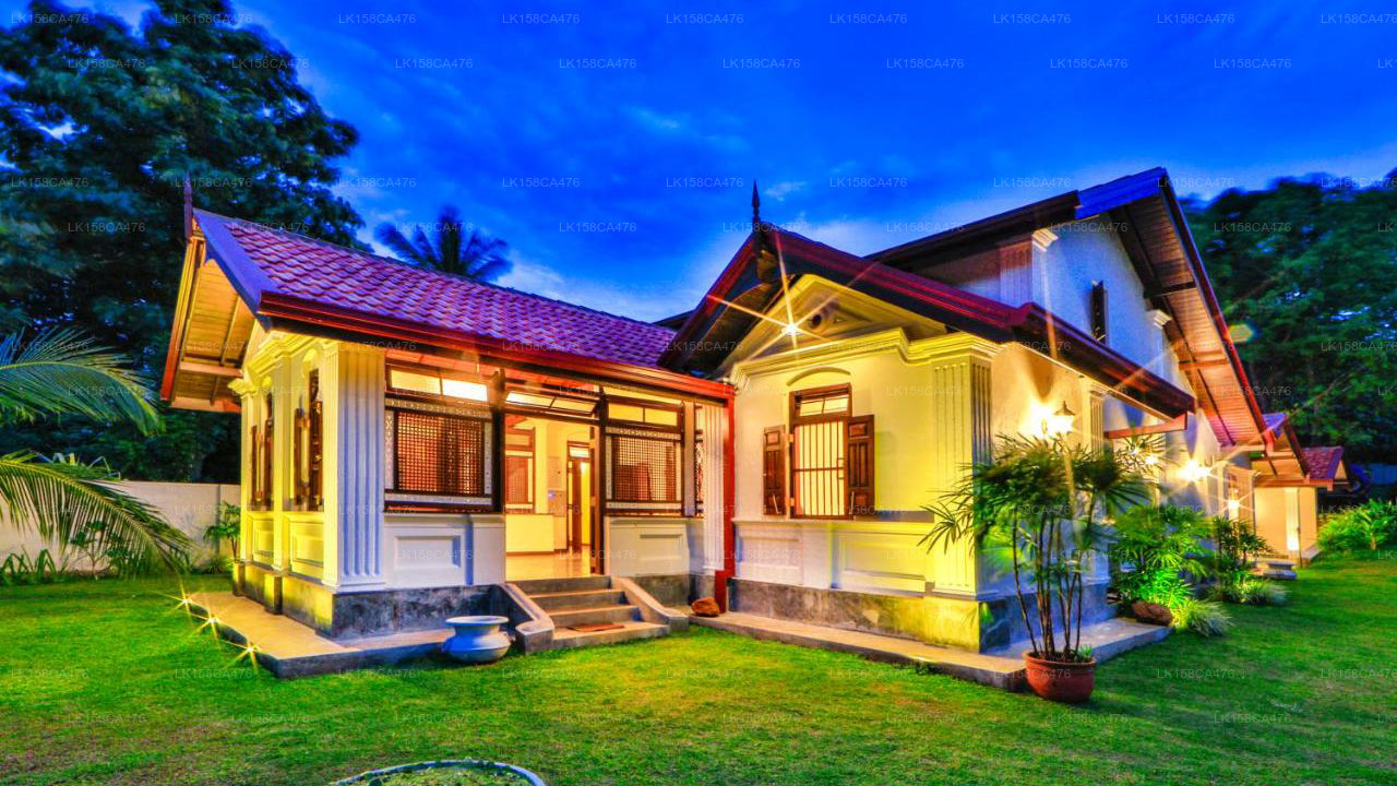 Arvani, Tangalle