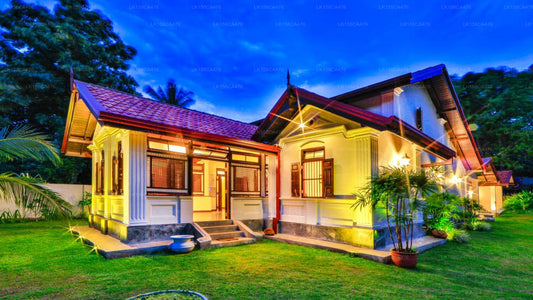 Arvani, Tangalle