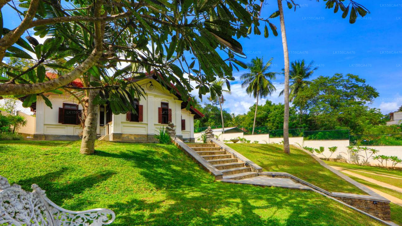Arvani, Tangalle