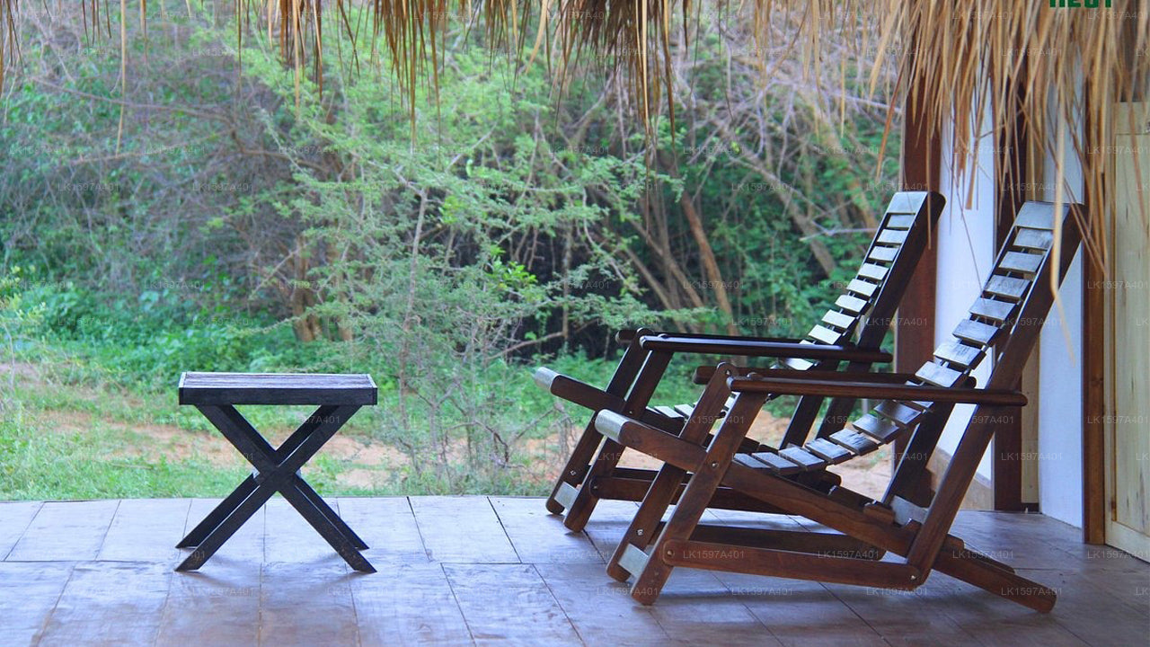 Leopard Nest, Yala