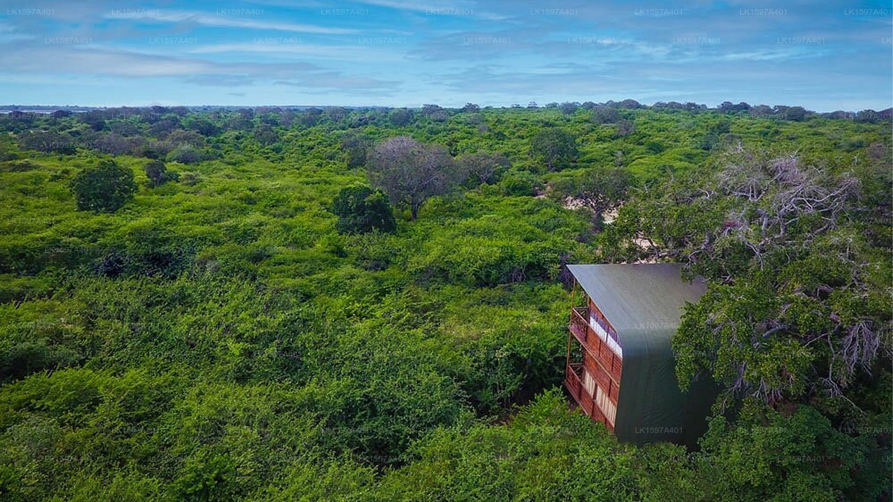 Leopard Nest, Yala