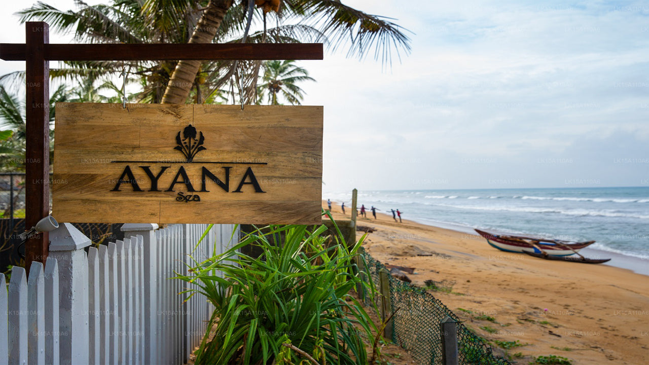 Ayana Sea, Wadduwa