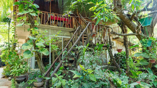 Green Garden Resort