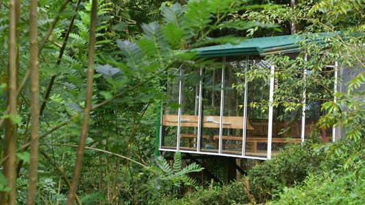 Sinharaja Kurulu Ella Eko Tatil Köyü, Deniyaya