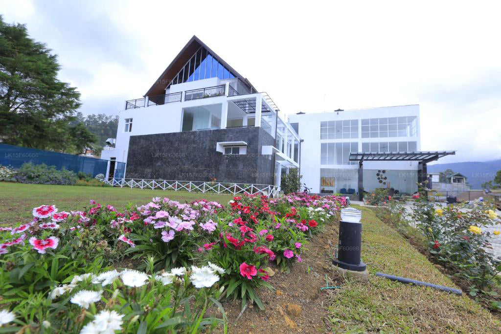 Ripon Büyük Tepesi, Nuwara Eliya