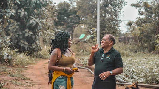 Local Guides
