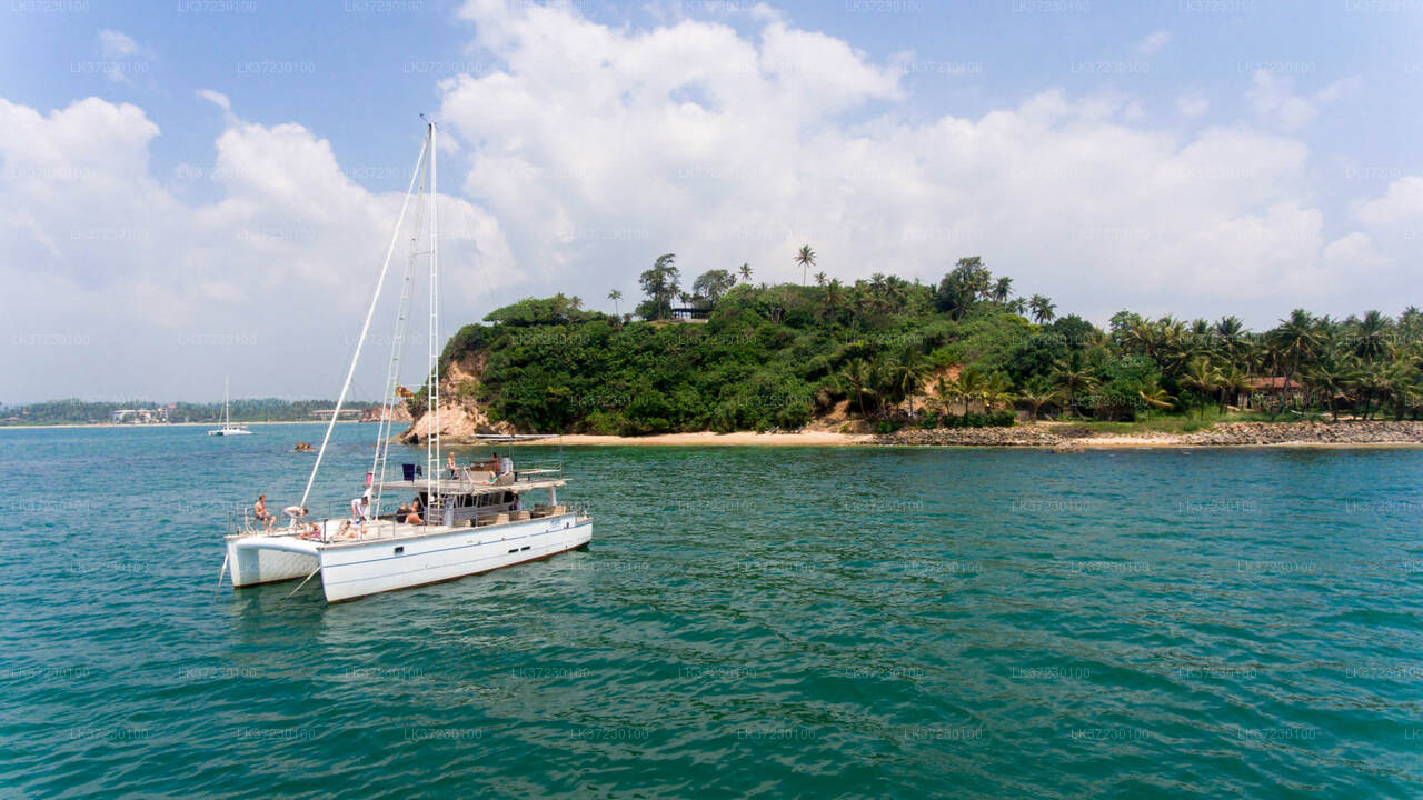 Whale Watching from Trincomalee Seaport on Shared Boat