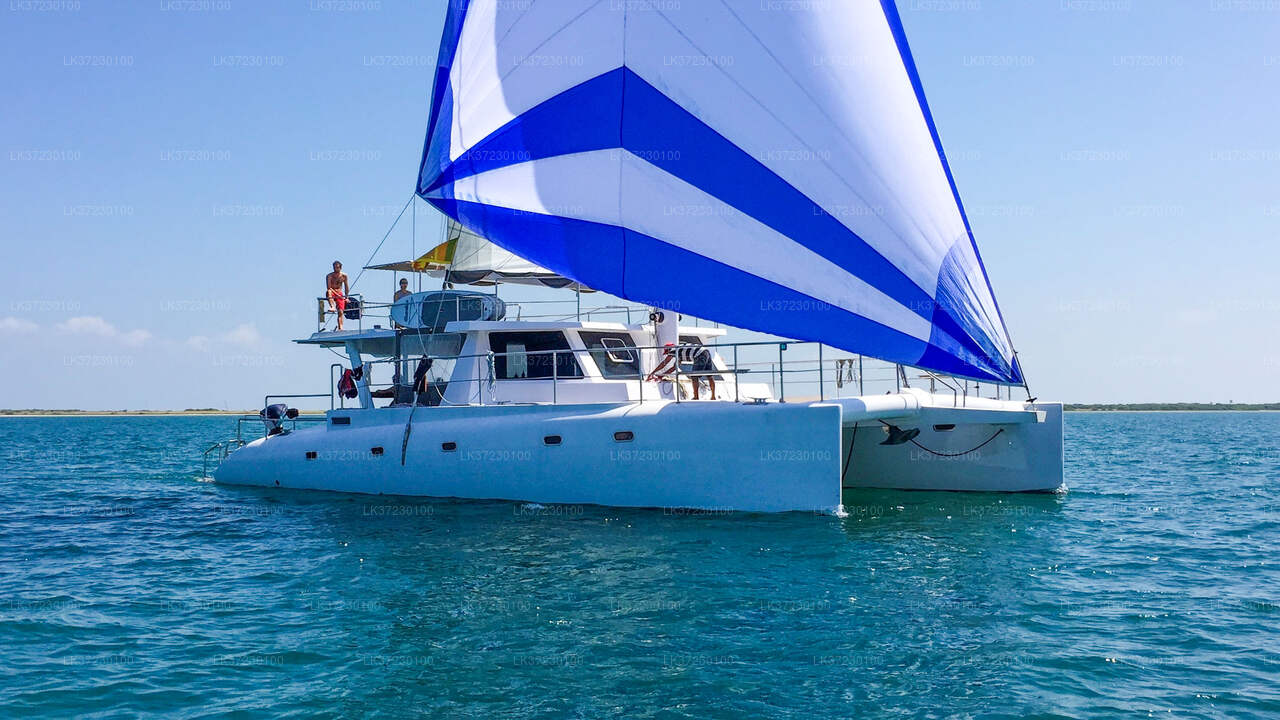 Whale Watching from Trincomalee Seaport on Shared Boat