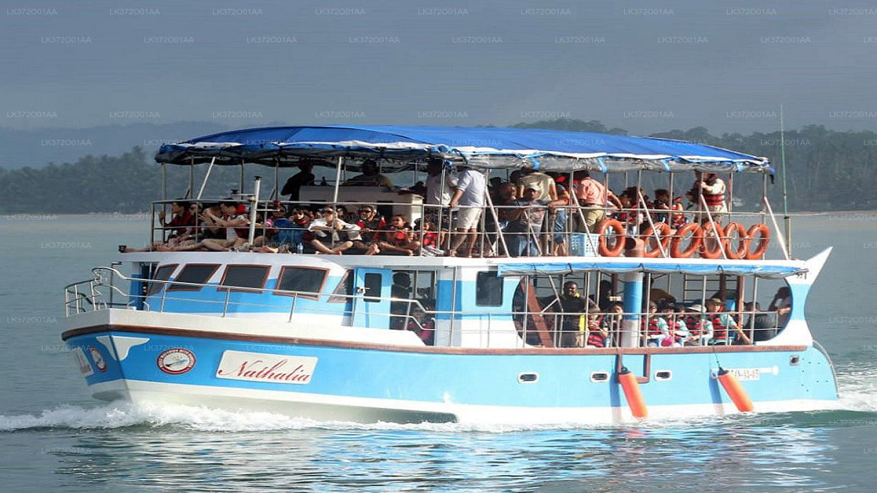 Mirissa"da Balina Seyretme Tekne Turu