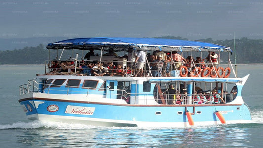 Hikkaduwa'dan Balina İzleme Tekne Turu