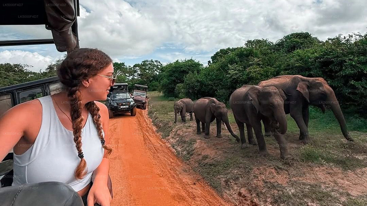 Private Tour from Ella to Hiriketiya with Udawalawe Safari