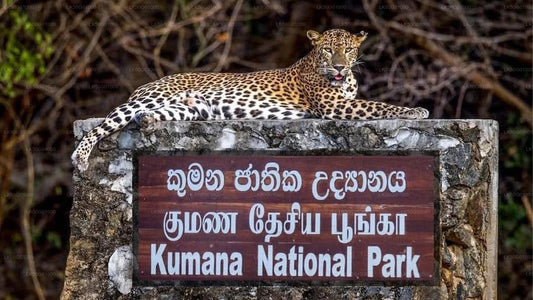 Kumana Milli Parkı Özel Safari