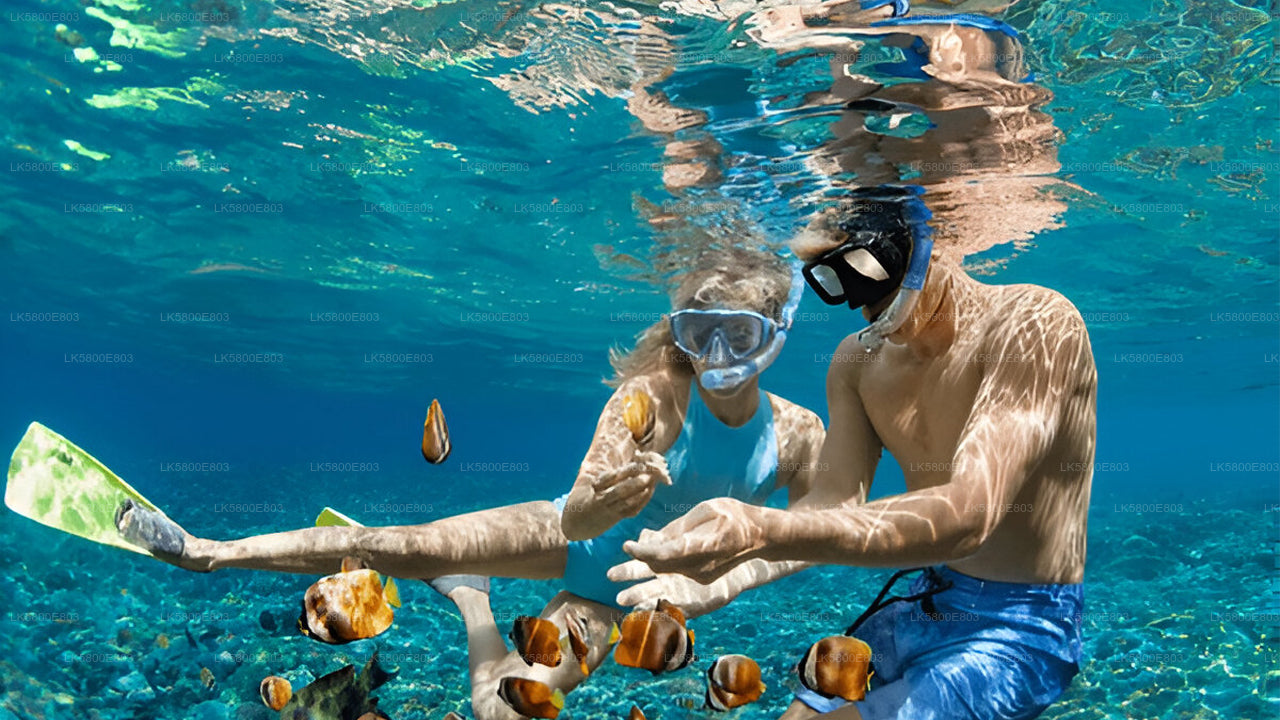 Snorkeling at Pigeon Island from Trincomalee