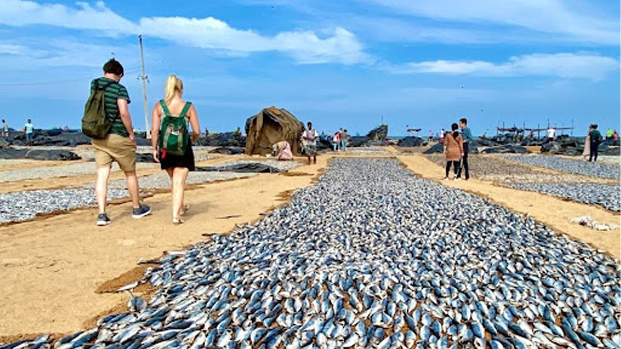 Colombo'dan Negombo Şehir Turu