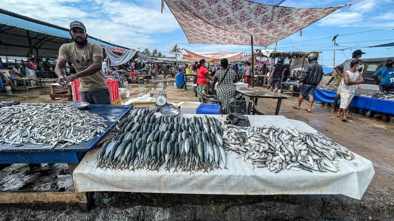 Colombo'dan Negombo Şehir Turu