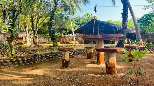 Seylan'dan Sri Lanka Tarımı, Mücevher Madeni ve Köy Deneyimi 1850