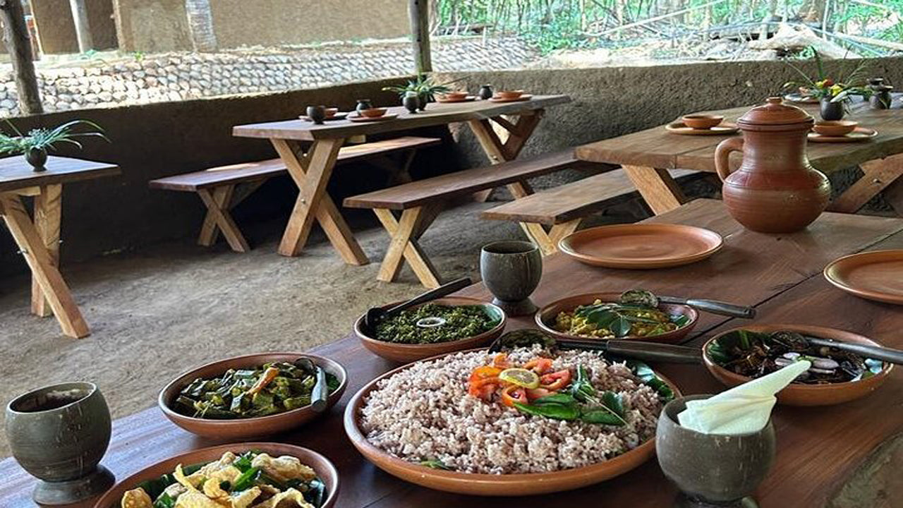 Seylan'dan Sri Lanka Tarımı, Mücevher Madeni ve Köy Deneyimi 1850