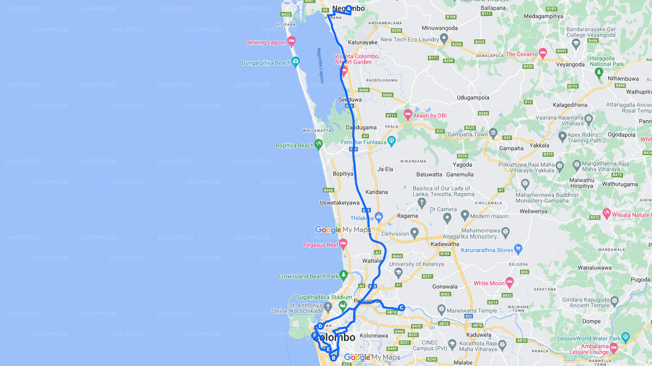 Negombo'dan Colombo Şehir Turu