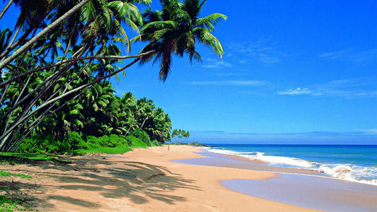 Coastal Ride to Galle from Panadura