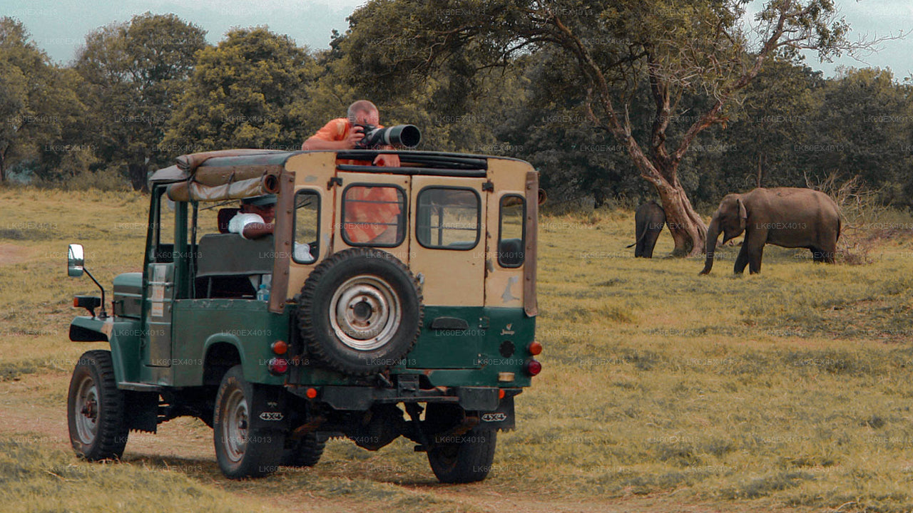 Mirissa'dan Udawalawe Milli Parkı Safari