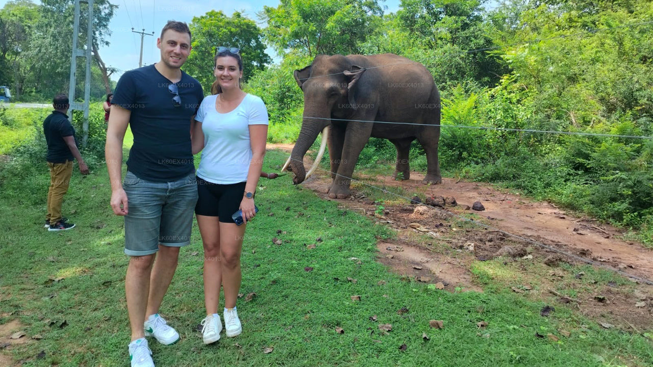 Mirissa'dan Udawalawe Milli Parkı Safari