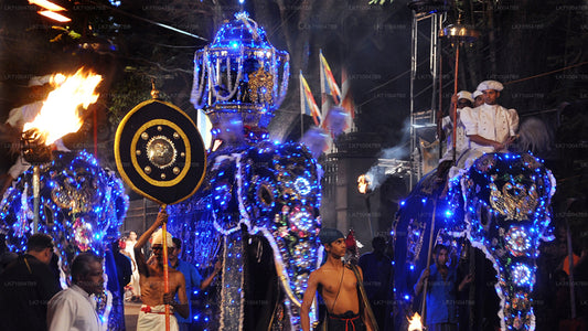 Kandy Esala Perahera - 11. Gün (Biletler ve Koltuklar)