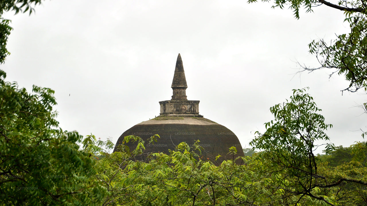 Polonnaruwa Arkeolojik Alanı Giriş Bileti