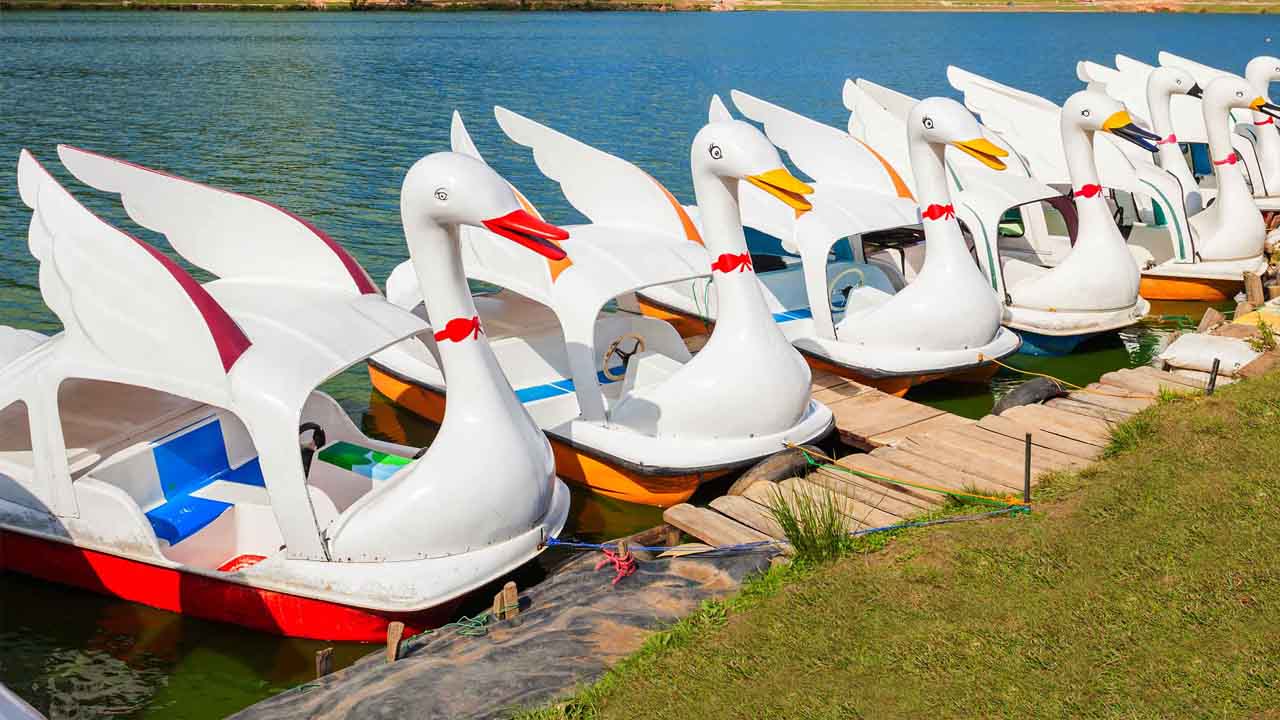 Gregory Lake Giriş Biletleri