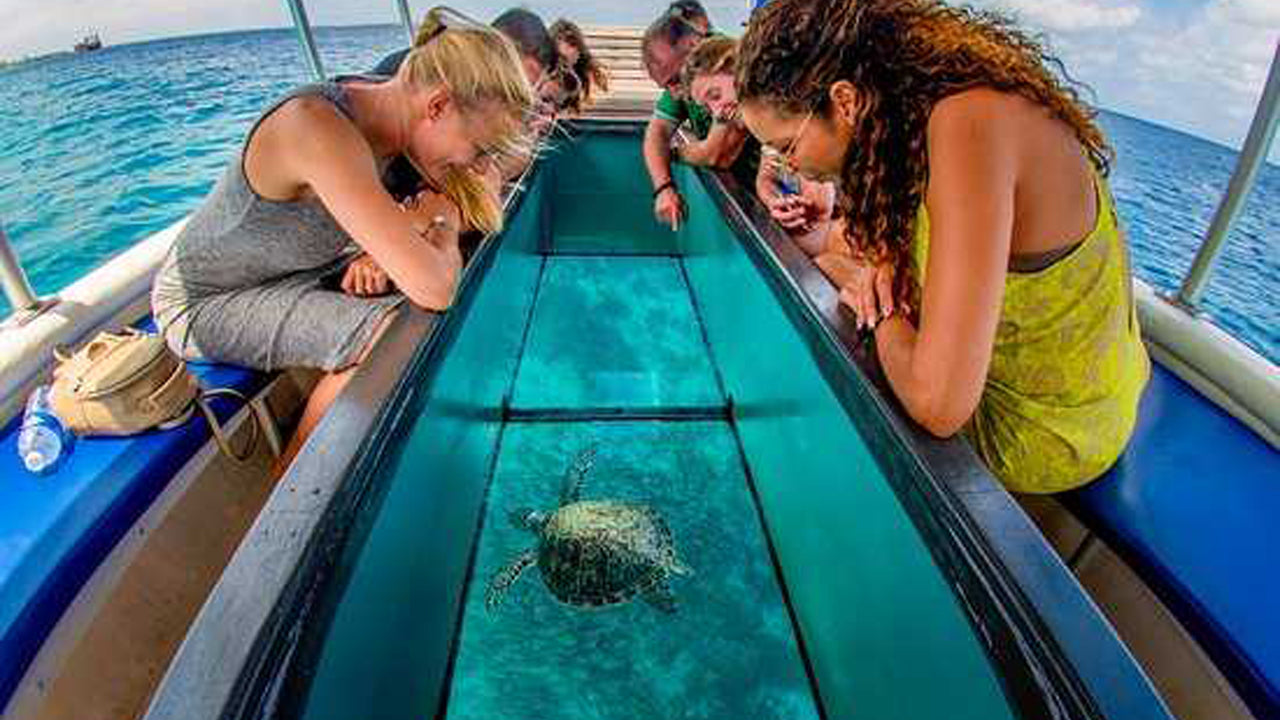 Glass Bottom Boat Ride from Hikkaduwa