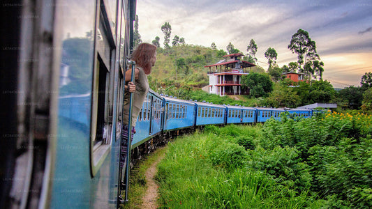 Kandy'den Ella'ya, Nanu Oya ve Badulla'ya Tren Bileti Rezervasyonu