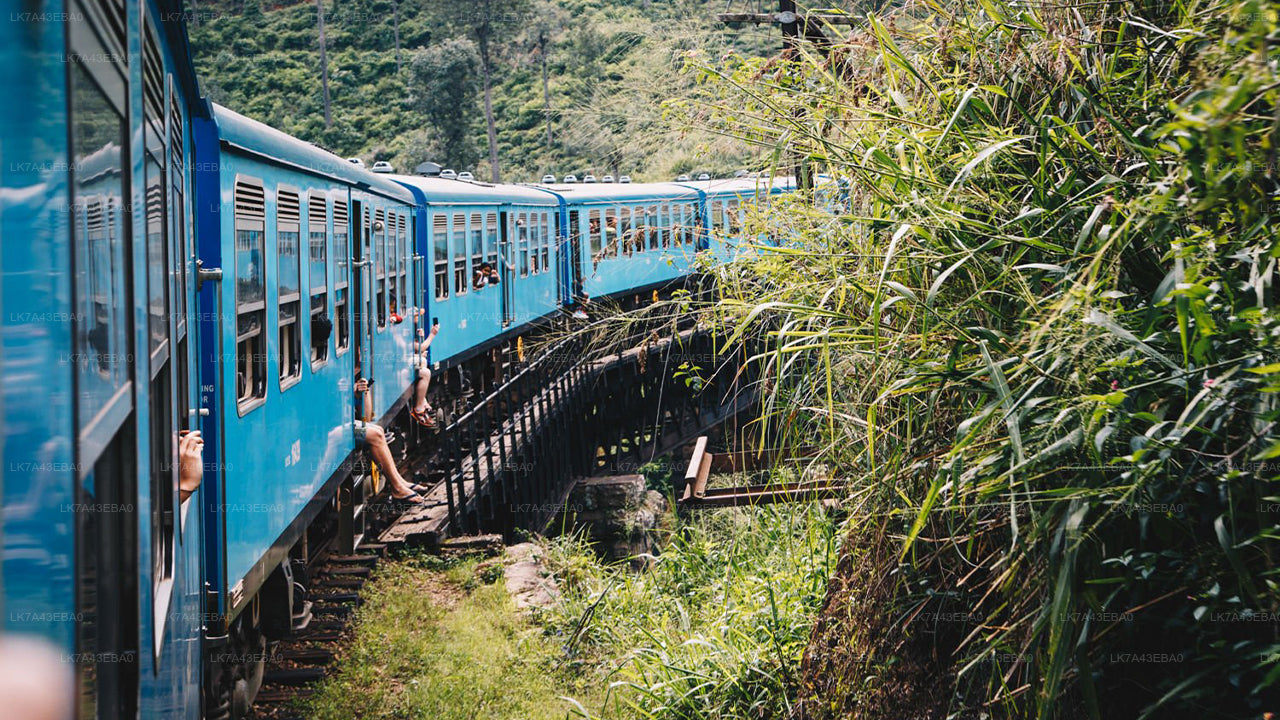 Kandy'den Ella'ya, Nanu Oya ve Badulla'ya Tren Bileti Rezervasyonu