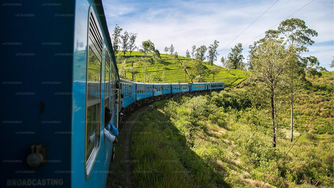 Kandy'den Ella'ya, Nanu Oya ve Badulla'ya Tren Bileti Rezervasyonu