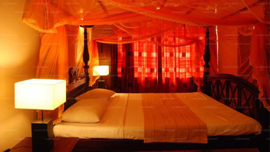 Rose Villa, Colombo