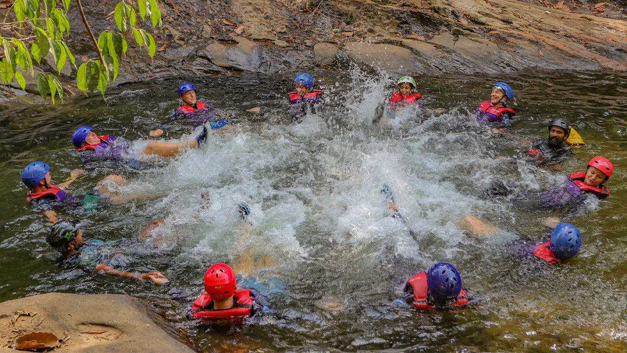 Kitulgala'dan İleri Kanyon Geçişi