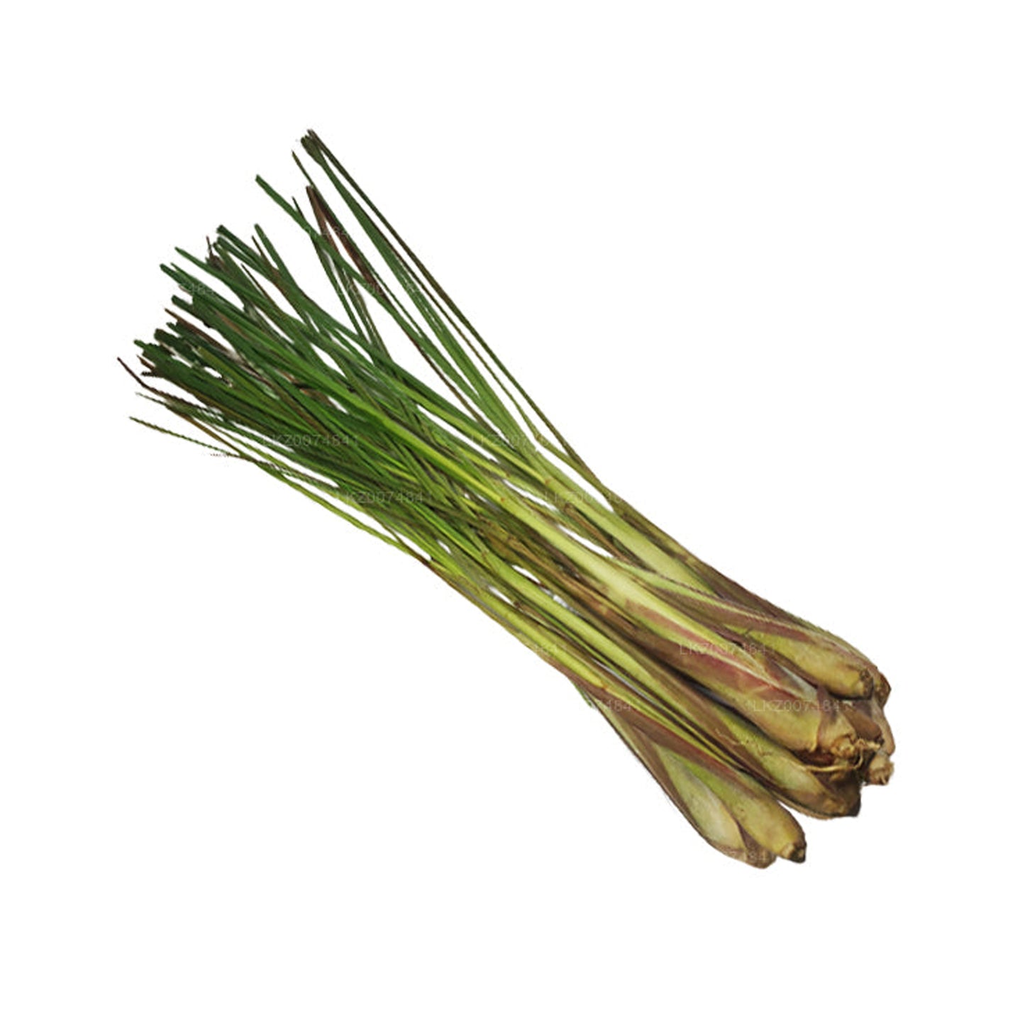 Taze Limon Otu () 100g