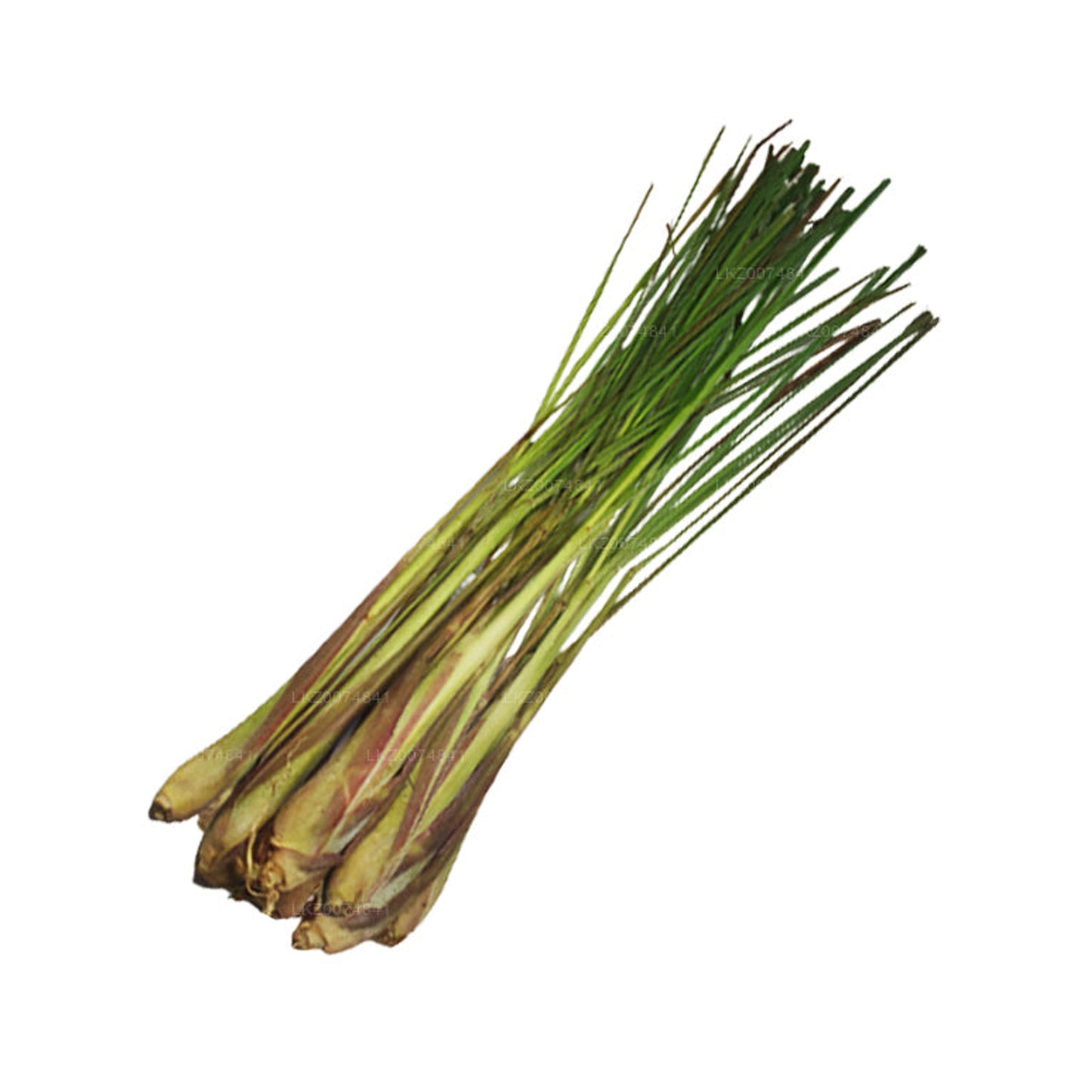 Taze Limon Otu () 100g