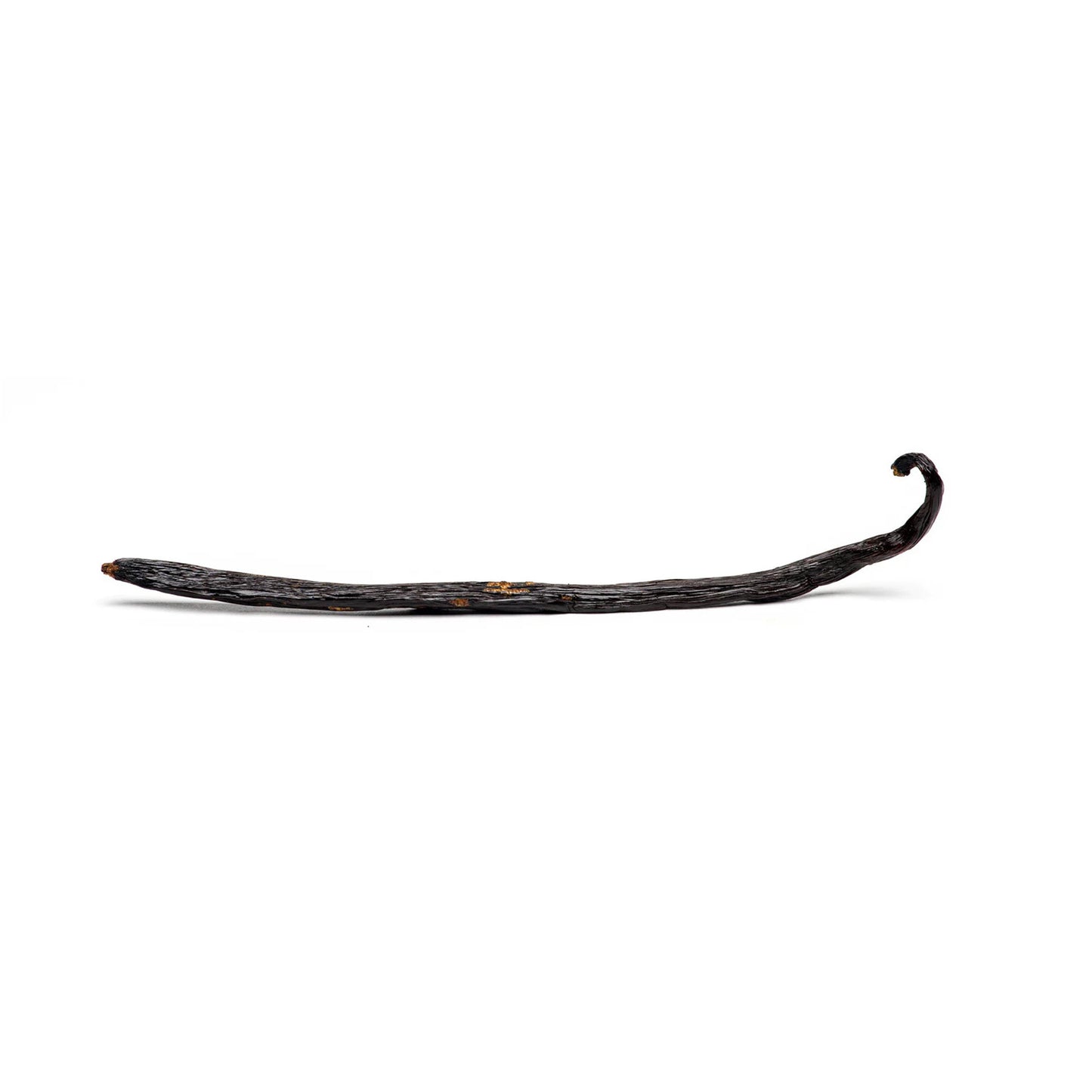 Lakpura Premium Kalite Sri Lanka (Seylan) Vanila Fasulyesi