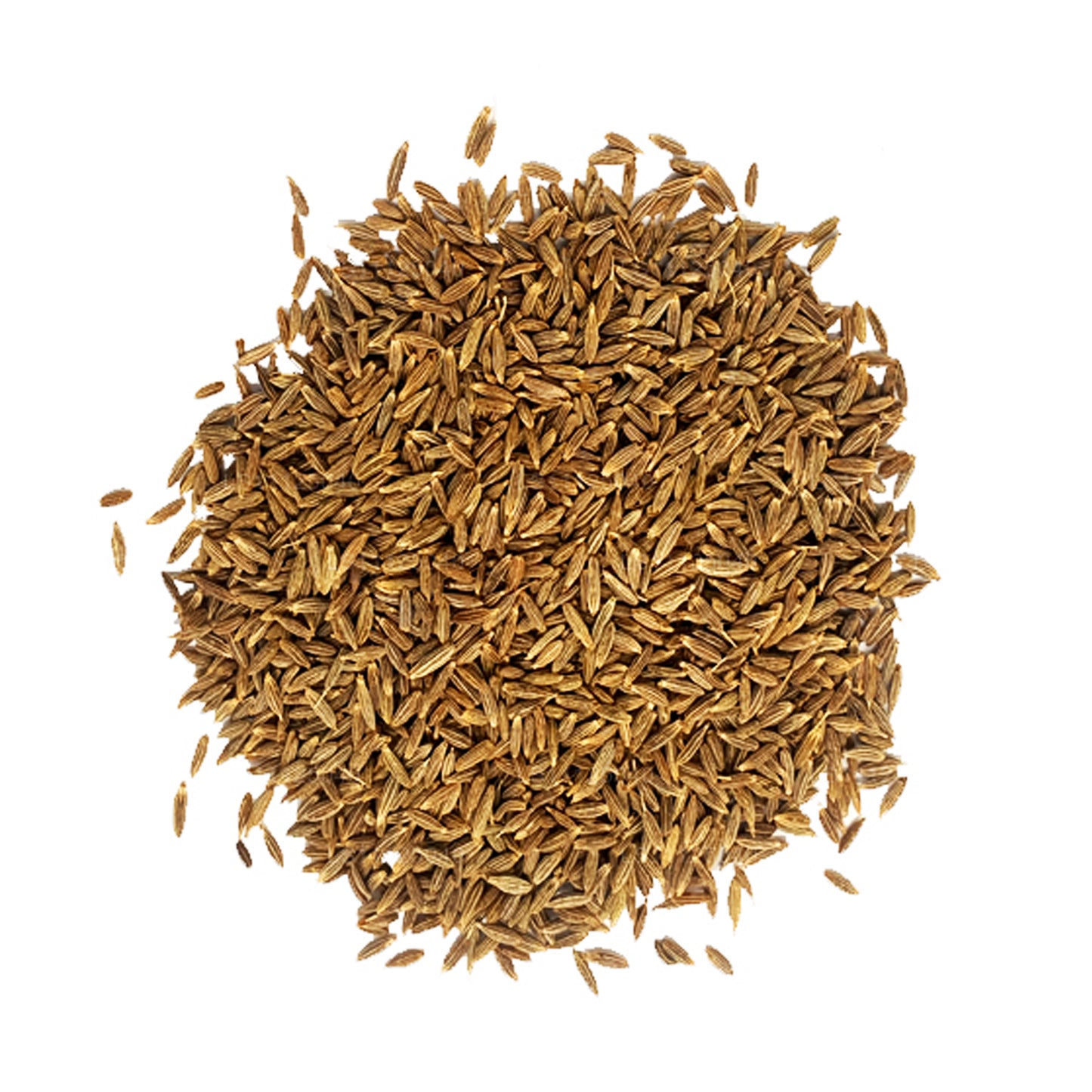 Lakpura Kimyon Tohumları (100g)