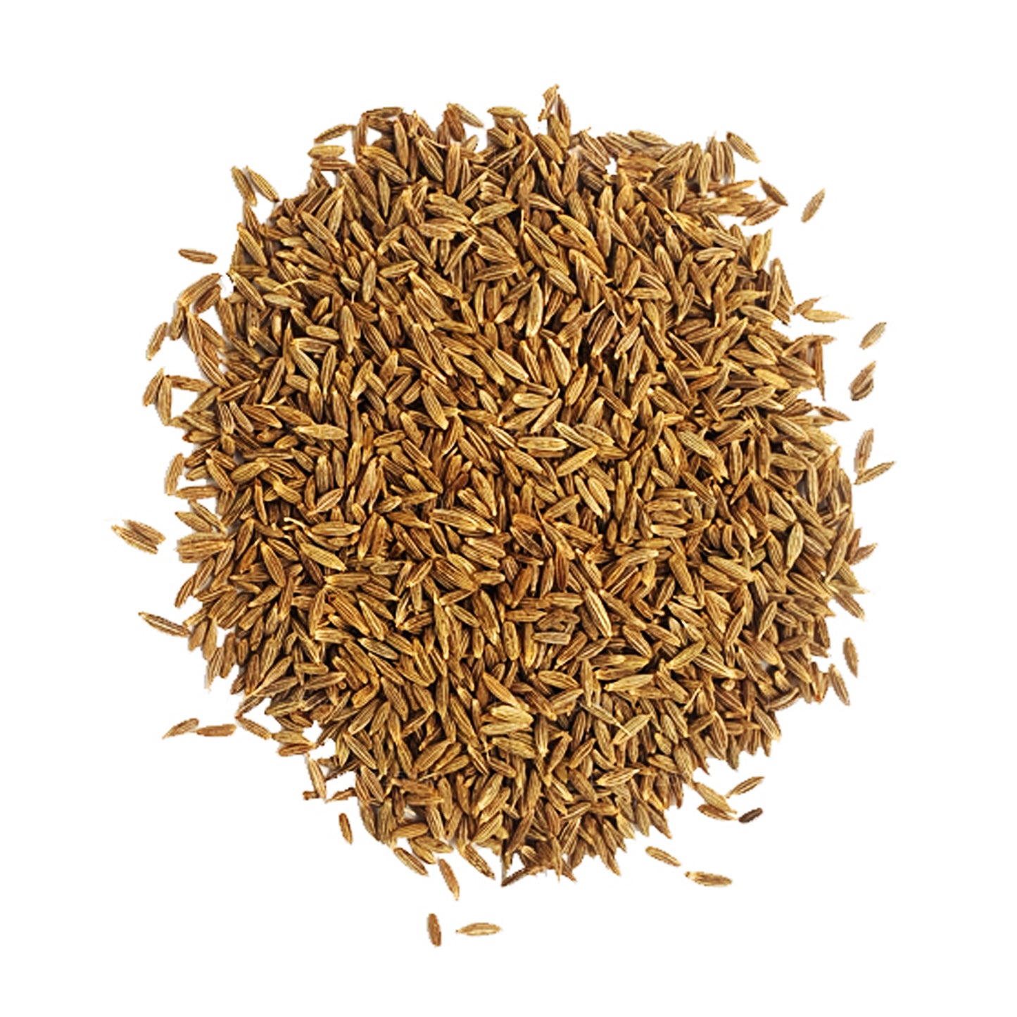 Lakpura Kimyon Tohumları (100g)
