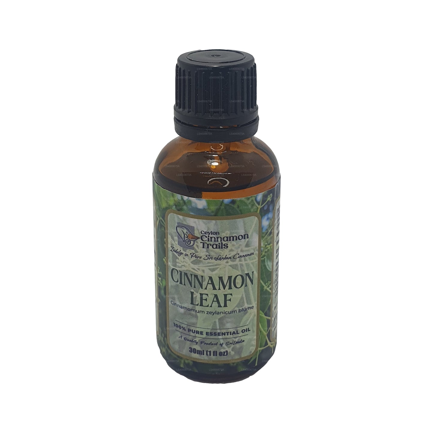 Seylan Tarçın Trails Tarçın Yaprağı Esansiyel Yağı (10ml)