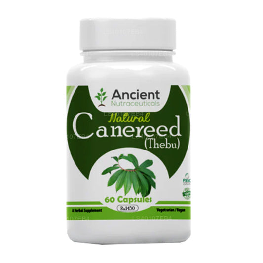 Antik Nutra Thebu “Canereed” (60 Kapsül)
