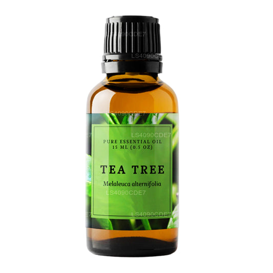 Lakpura Çay Ağacı Esansiyel Yağı (15ml)